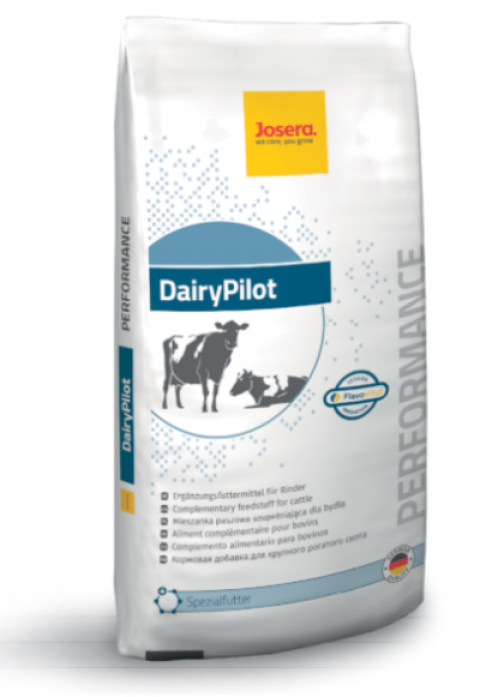 Zdjęcie 1 Dairy Pilot