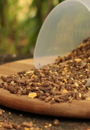Zdjęcie produktu Chrupka Allergic musli dla koni z chorobą wrzodową 20 kg nr 2 