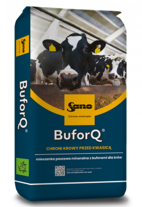 Zdjęcie 1 BuforQ