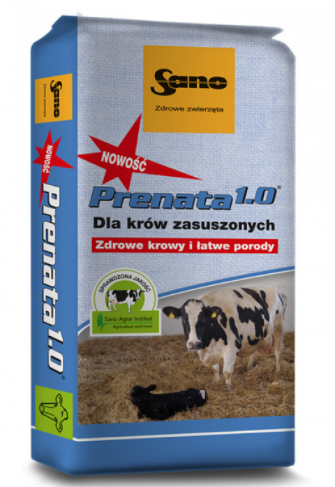 Zdjęcie 1 Prenata 1.0