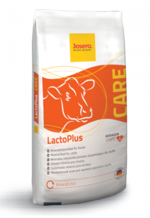 Zdjęcie 1 LactoPlus Extra