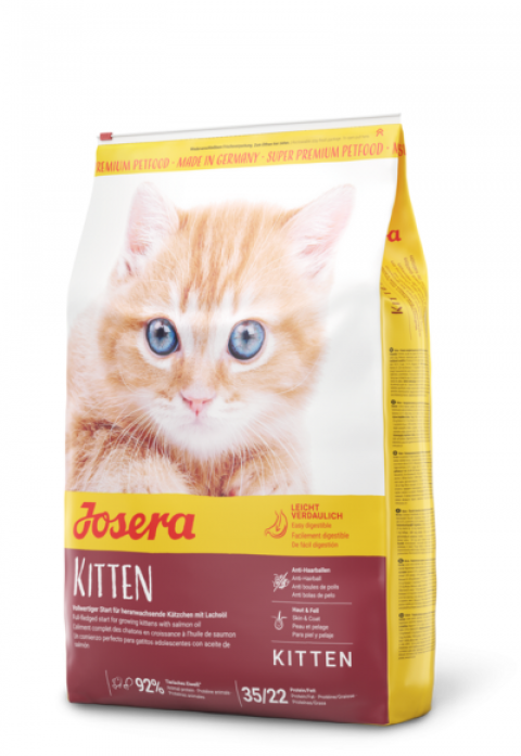 Zdjęcie 1 Kitten