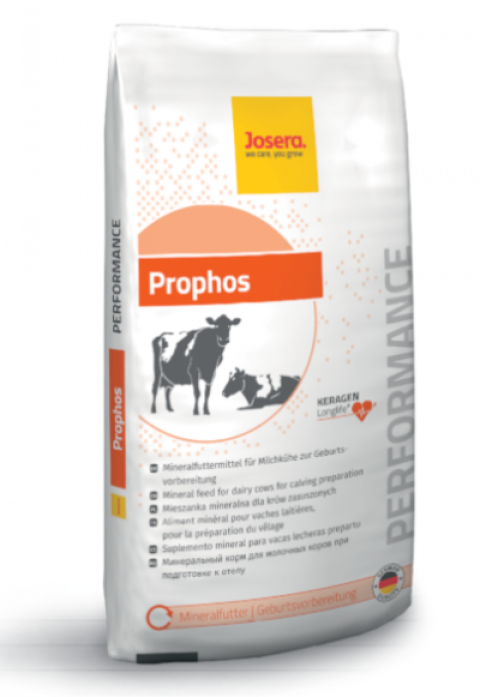 Zdjęcie 1 Prophos